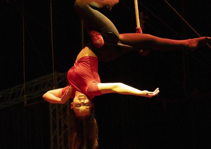 Spectacle-examen cirque