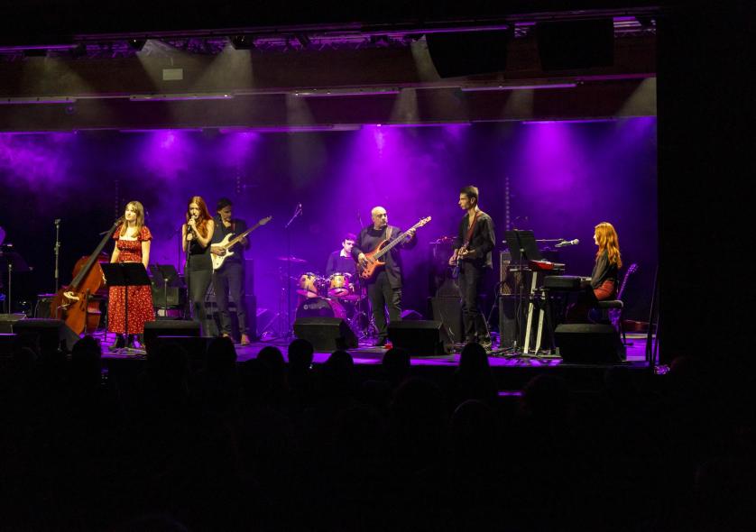 Musiques Actuelles Amplifiées