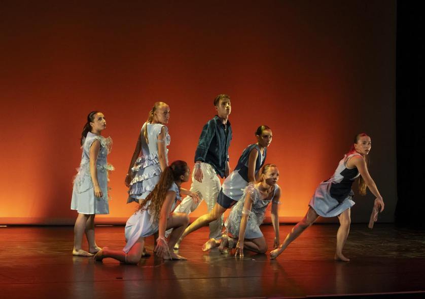 Danse, DADS