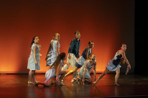 Danse, DADS