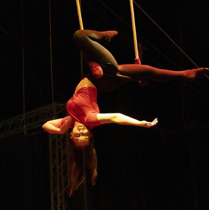 Spectacle-examen cirque