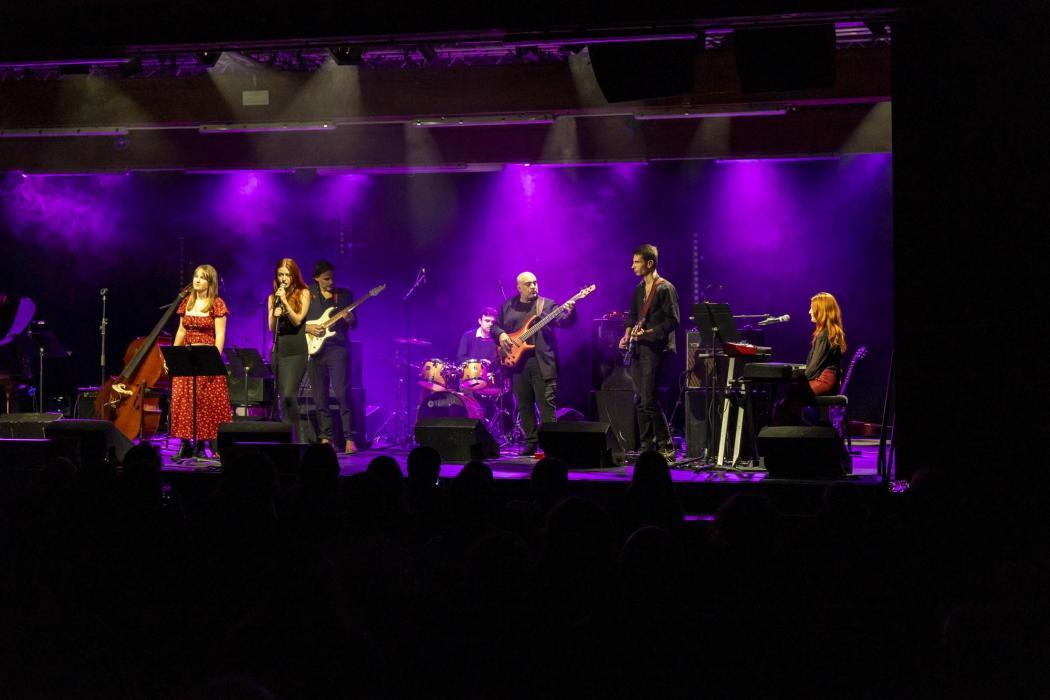 Musiques Actuelles Amplifiées